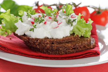 Vollkornbrot mit Frischkäse und Radieschen