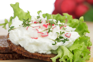 Vollkornbrot mit Frischkäse und Radieschen