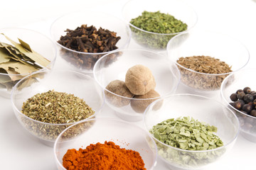 different spices