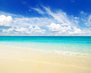 beach and tropical sea