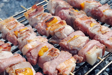 cocked pork kabobs grilled on skewers on a barbecue