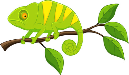 Chameleon cartoon © idesign2000