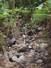 Amas de rochers