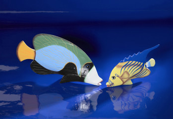 deco fishes