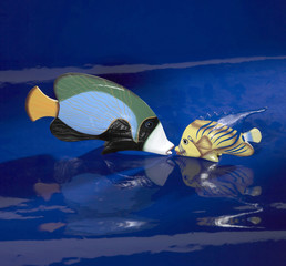 deco fishes