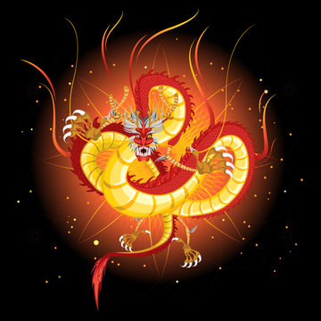 Chinese Fire Dragon