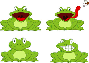 Funny frog cartoon