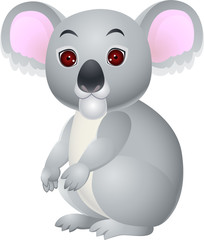 Koala cartoon