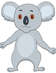 Koala cartoon