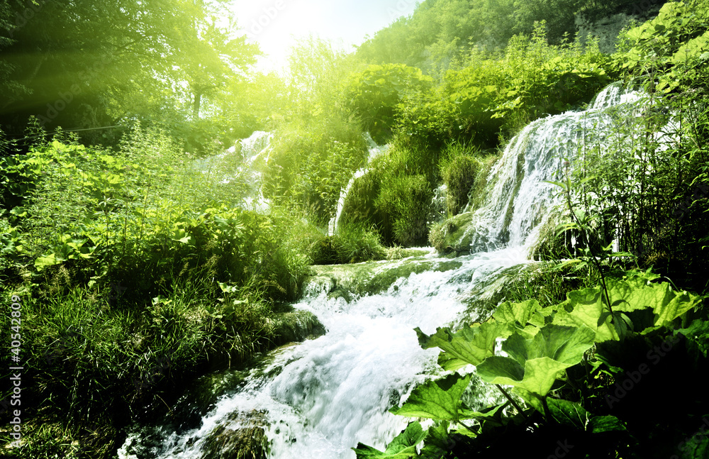 Canvas Prints waterfall in deep forest