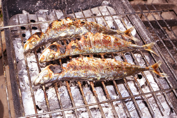 grilled mackerel scad