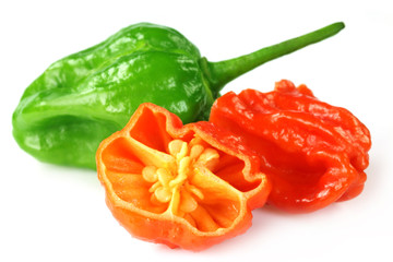 World hottest Bhut Jolokia chili pepper or the Naga Morich © Swapan