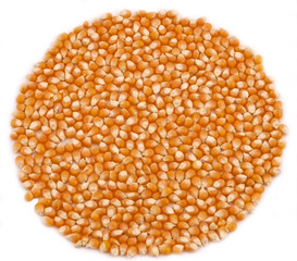 Corn splash