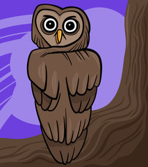 cartoon owl