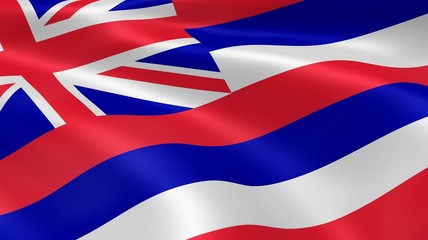 Hawaiian flag in the wind