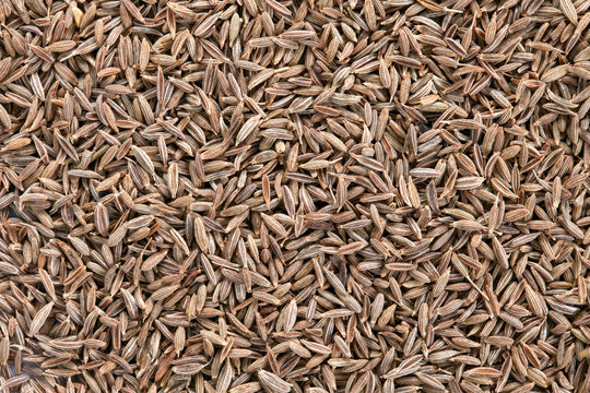 Cumin seeds background