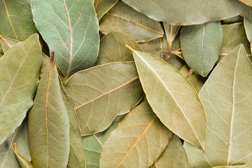 Bay Leaves background.
