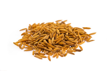 paddy on white background 