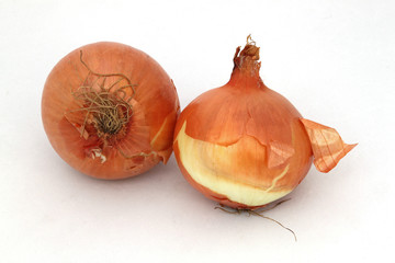 Two organic onions on a white background.