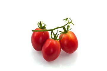 fresh tomato