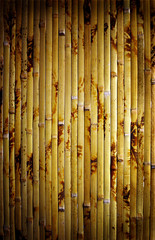 bamboo background