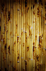 bamboo background