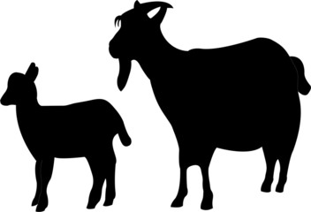 Two goats silhouette - vector