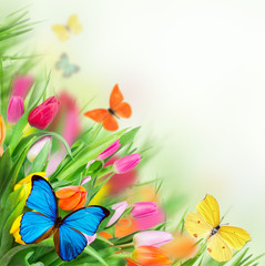 Spring flowers with exotic butterfly