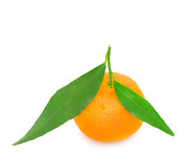 tangerine