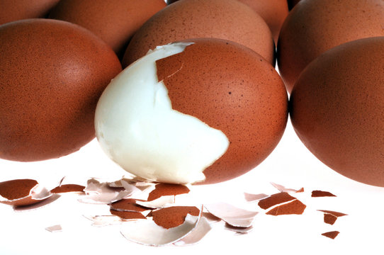 Les oeufs durs