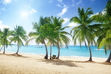 Obraz na płótnie Canvas beach of Catalina island in Dominican republic