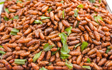 Salted fried silkworm with pandan