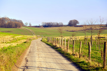 Fototapeta na wymiar rural road in Limburg
