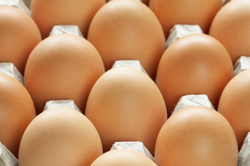 Many brown eggs in carton tray