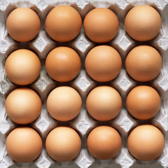 Many brown eggs in carton tray