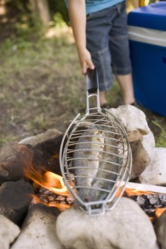 Grilling fish over camp-fire
