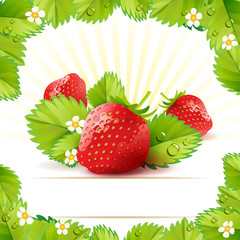 Strawberry with frame of leafs
