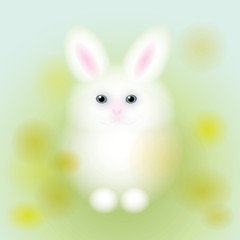 White rabbit on dandelions background