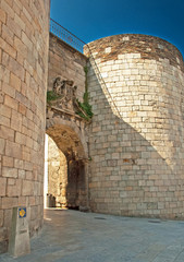 Detail of the famous roman wall of Lugo, Spain