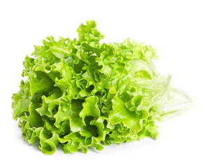 Fresh green lettuce leaves isolated on white