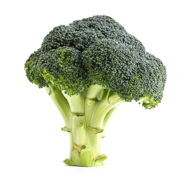 Fresh broccoli isolated on a white