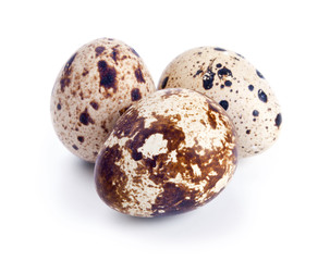 Quail eggs isolated on white