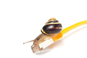 Schneckentempo im Netzwerk