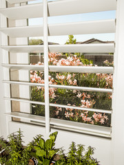 Kitchen Window View