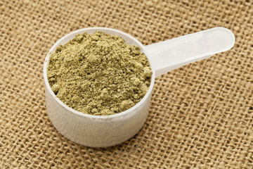 scoop of hemp protein powder