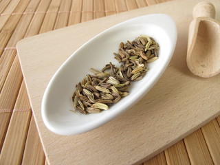 Fenchel, Foeniculi fructus