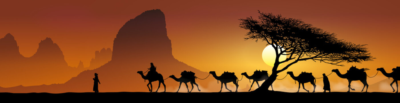 Caravane et arbre - Panorama