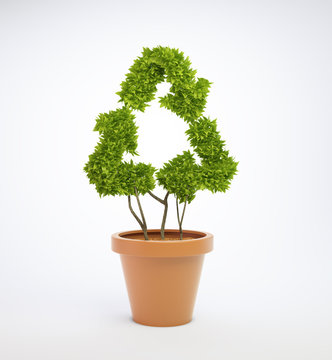 plant in a pot shaped like a recycling symbol
