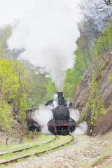 Fototapeta na wymiar steam locomotive (126.014), Resavica, Serbia