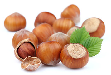 Heap of hazelnuts